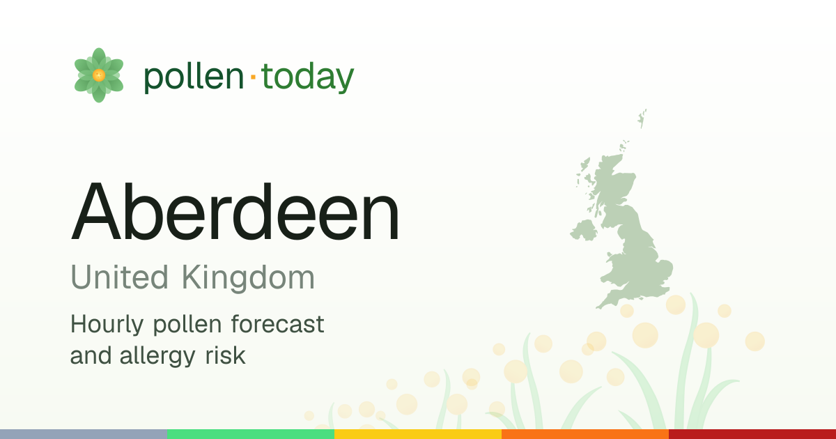 Pollen Forecast in Aberdeen Today — Pollen Levels & Allergy Risk
