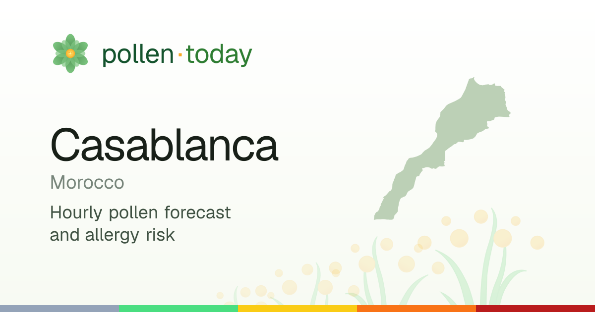 Pollen Forecast in Casablanca Today — Pollen Levels & Allergy Risk