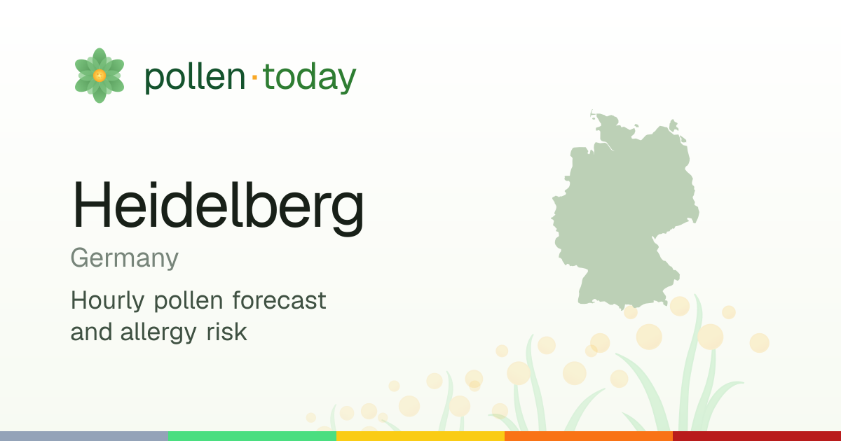 Pollen Forecast in Heidelberg Today — Pollen Levels & Allergy Risk