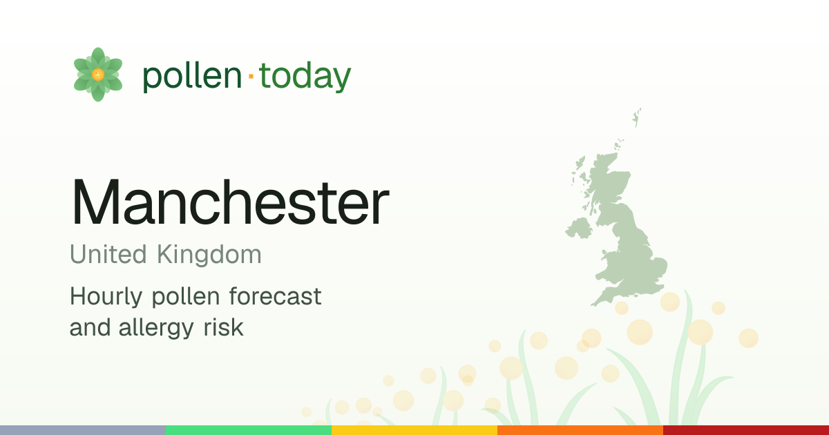 Pollen Forecast in Manchester Today — Pollen Levels & Allergy Risk