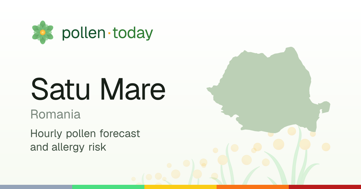 Pollen Forecast in Satu Mare Today — Pollen Levels & Allergy Risk